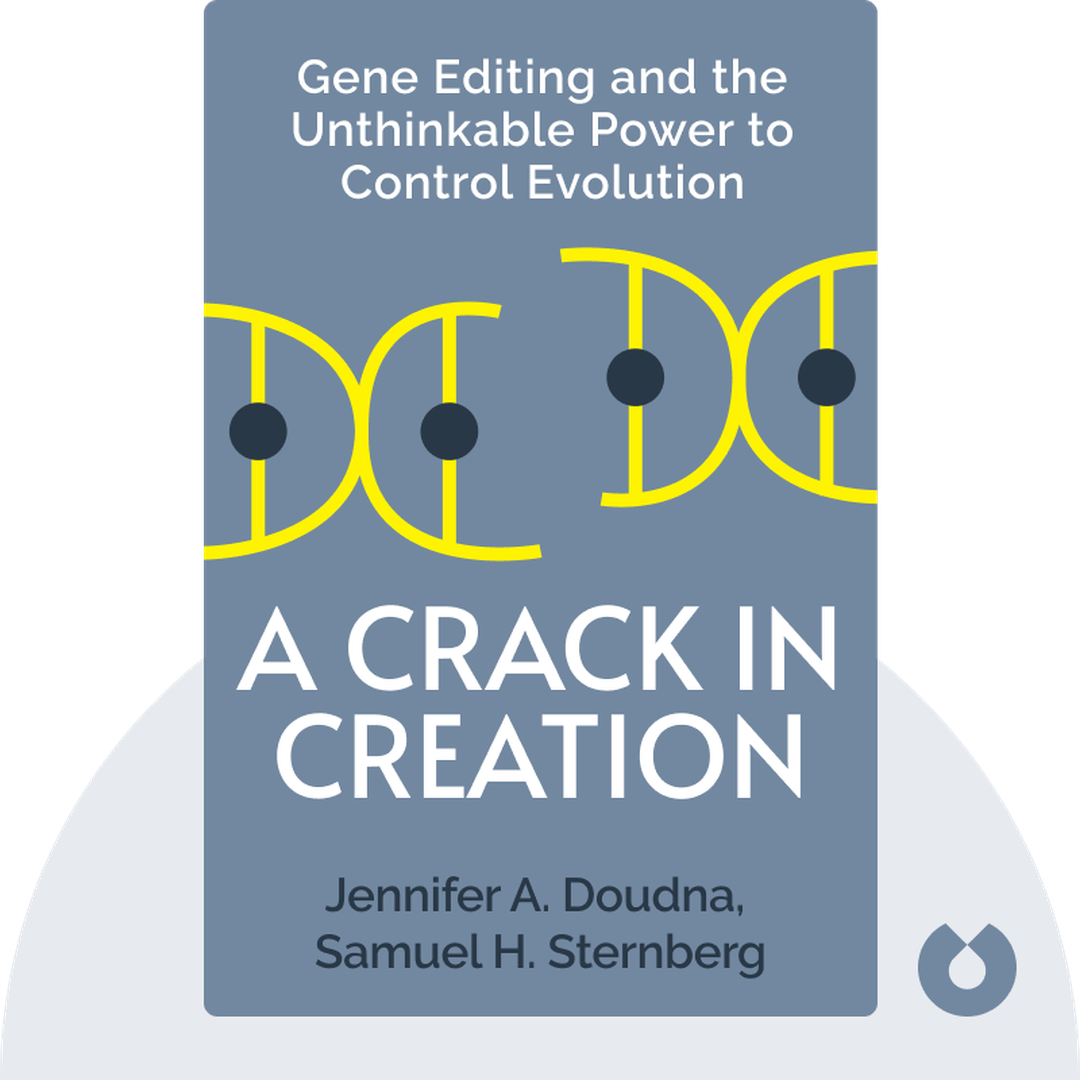 A Crack in Creation cover