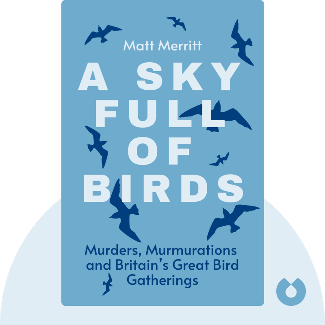A Sky Full of Birds audiobook cover - In Search of Murders, Murmurations and Britain’s Great Bird Gatherings