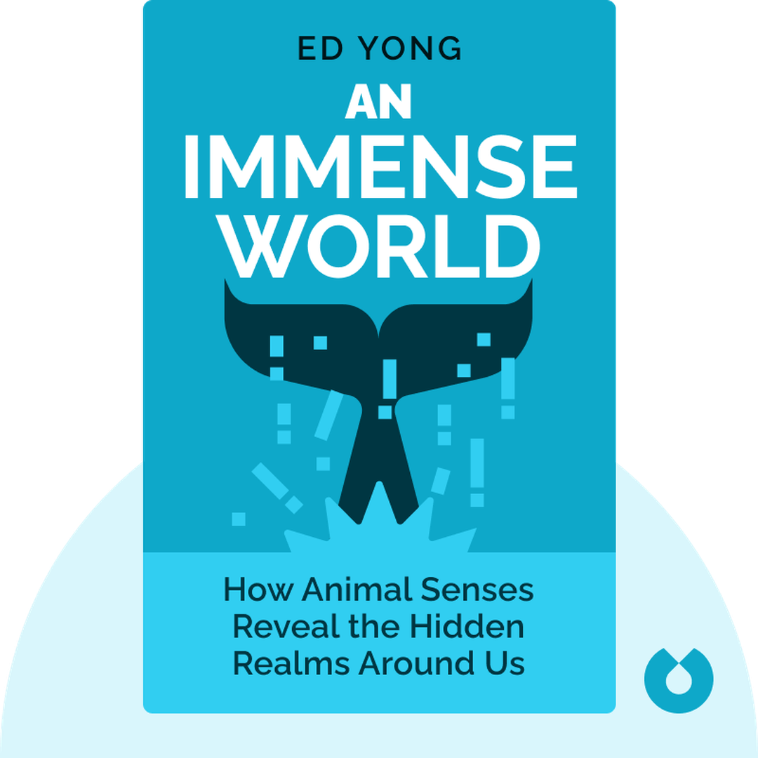 An Immense World cover