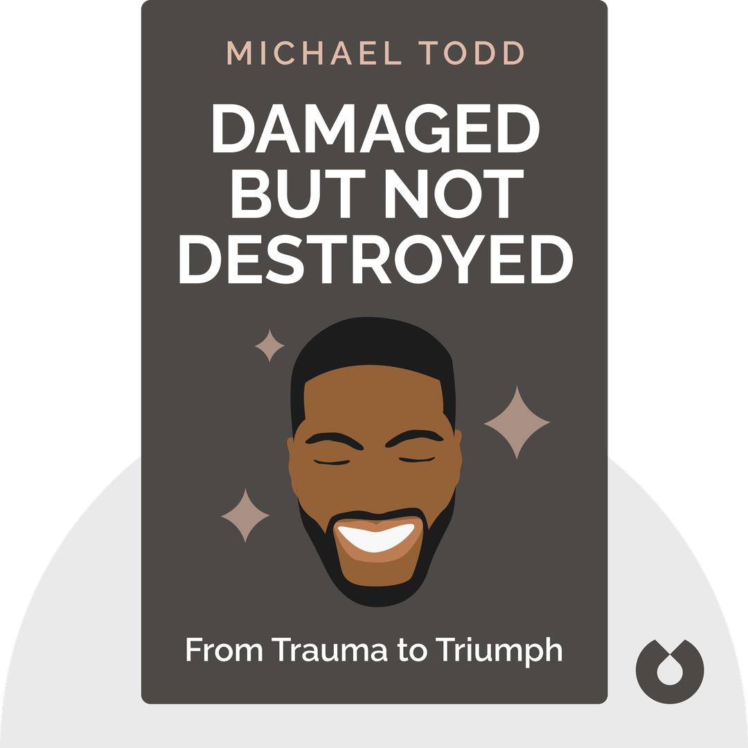 Damaged but Not Destroyed cover