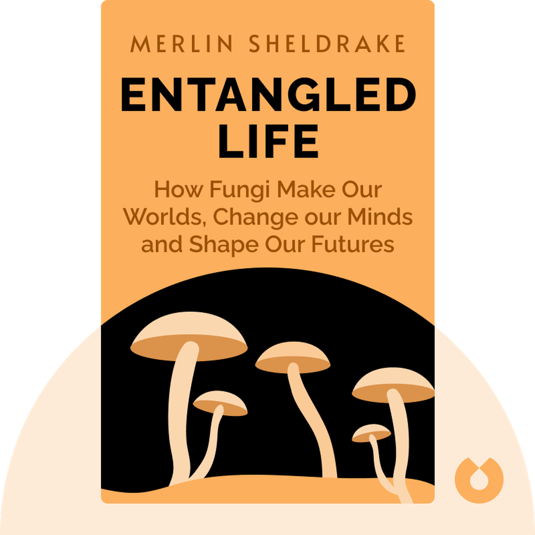 Entangled Life cover