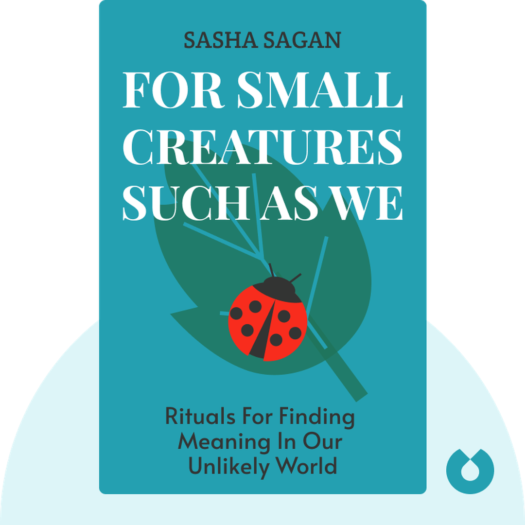 For Small Creatures Such as We audiobook cover - Rituals for Finding Meaning in Our Unlikely World