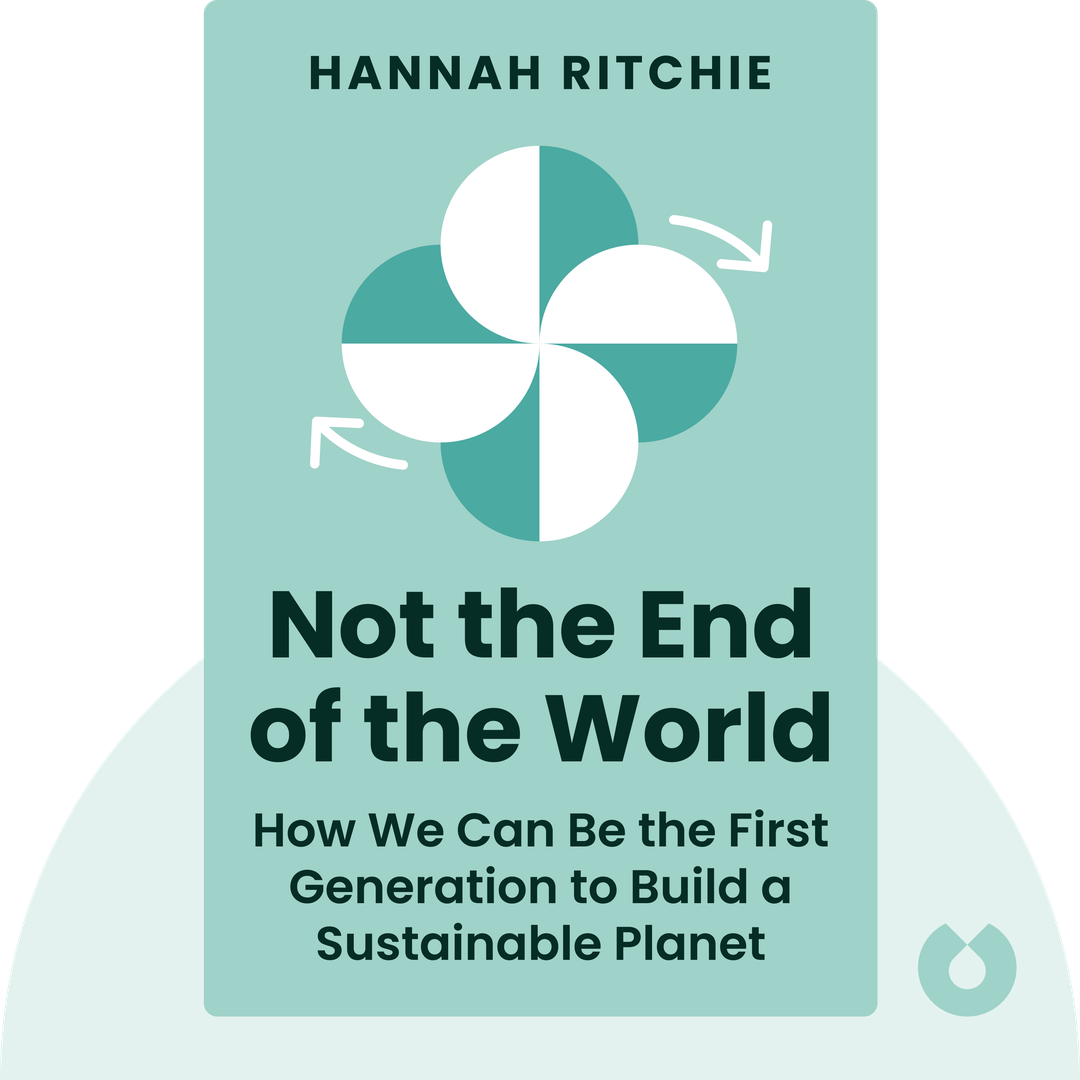 Not the End of the World cover