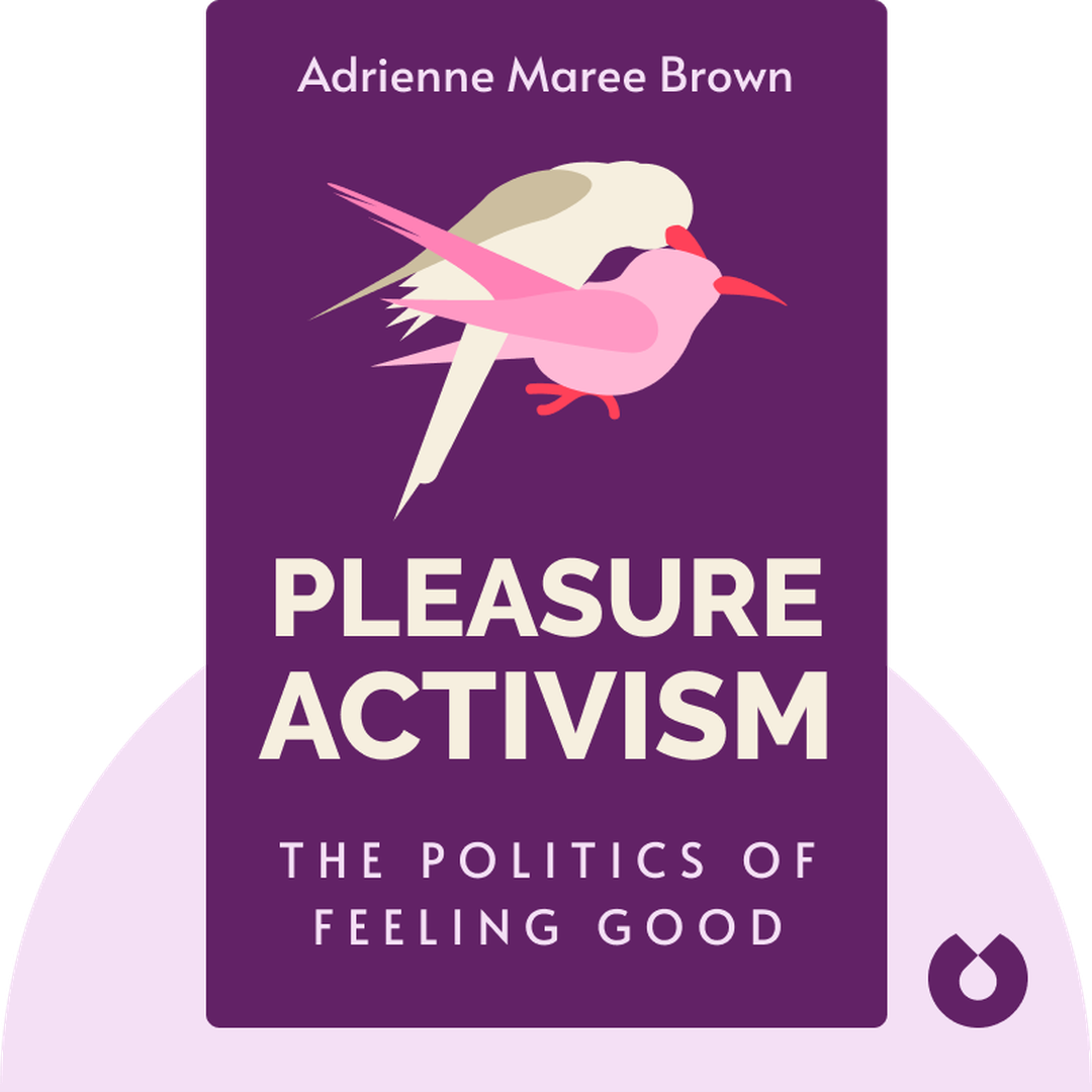 Pleasure Activism cover