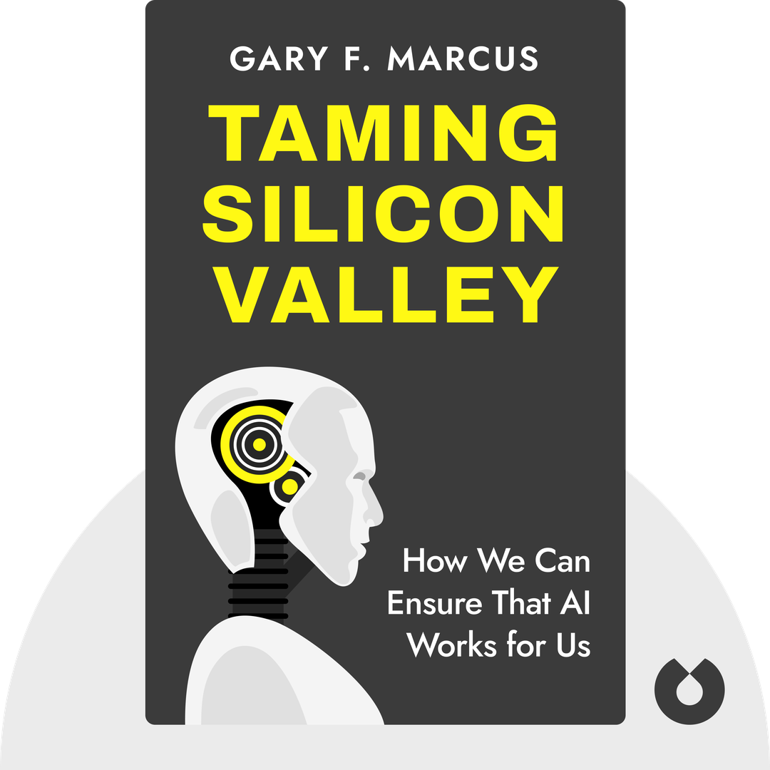 Taming Silicon Valley cover