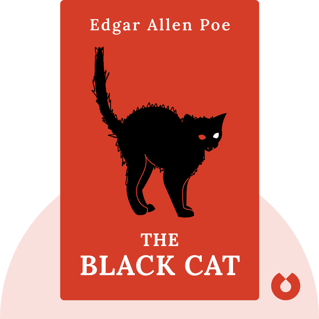 The Black Cat cover