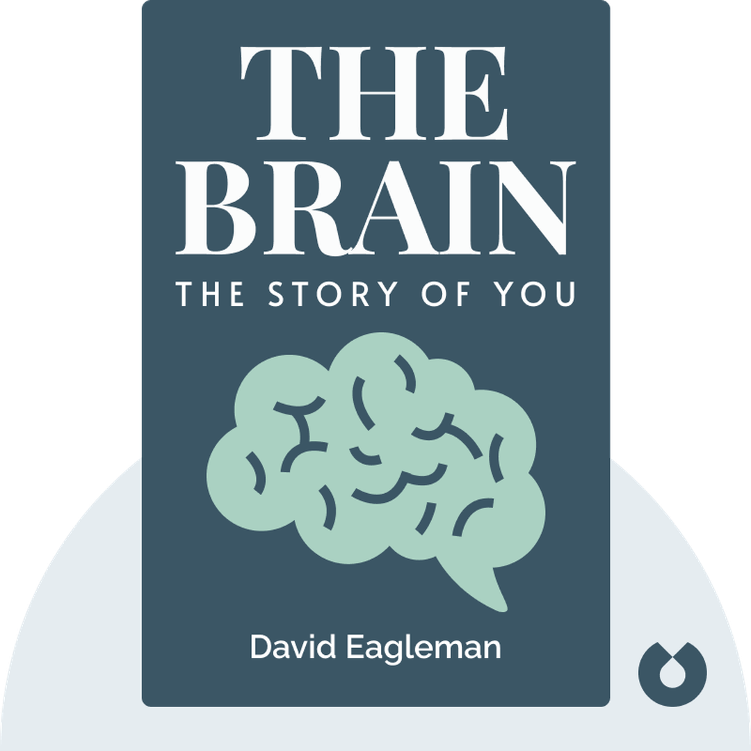 The Brain cover