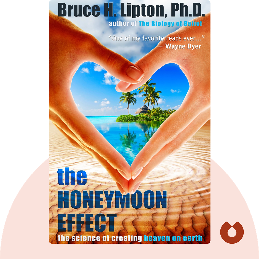 The Honeymoon Effect cover