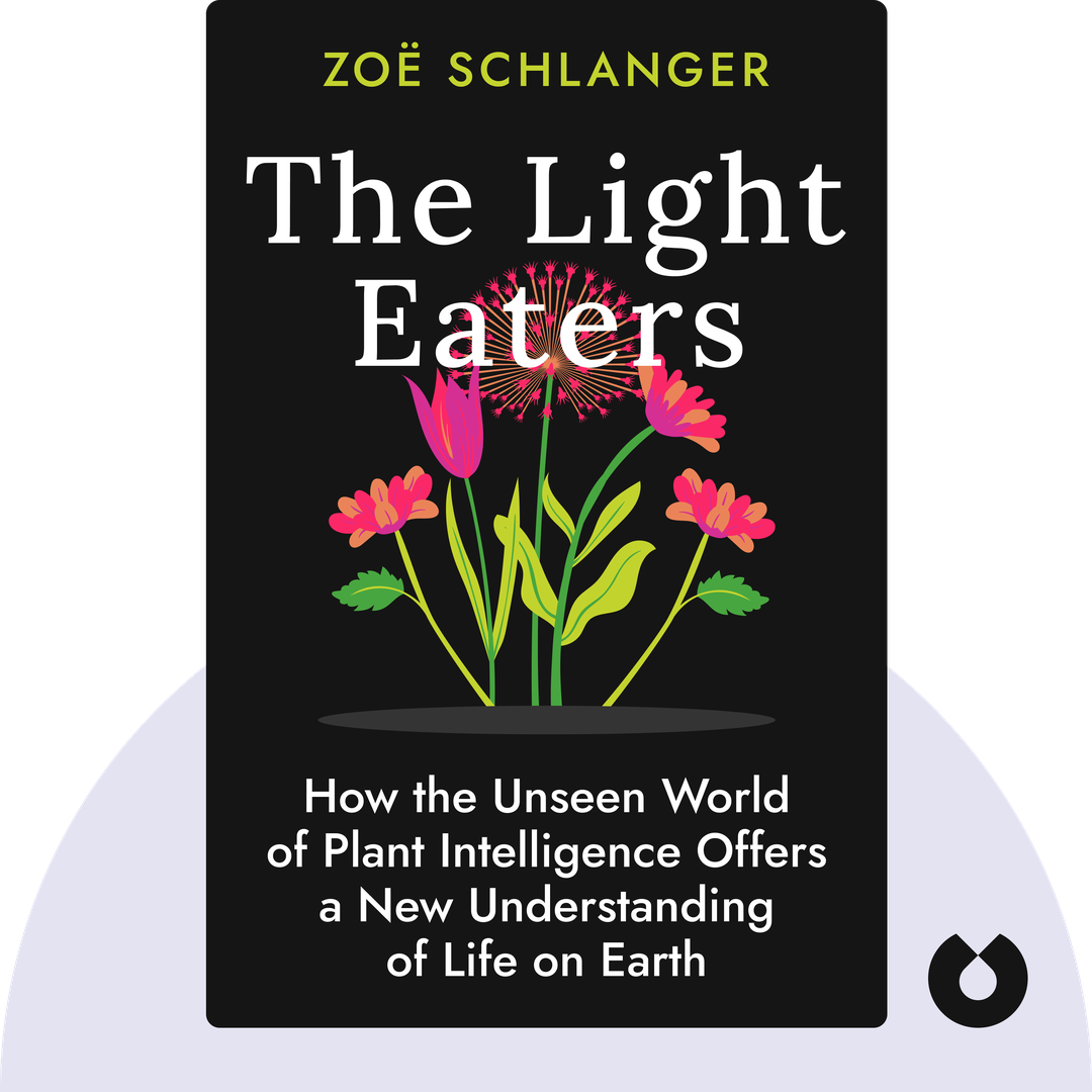 The Light Eaters cover