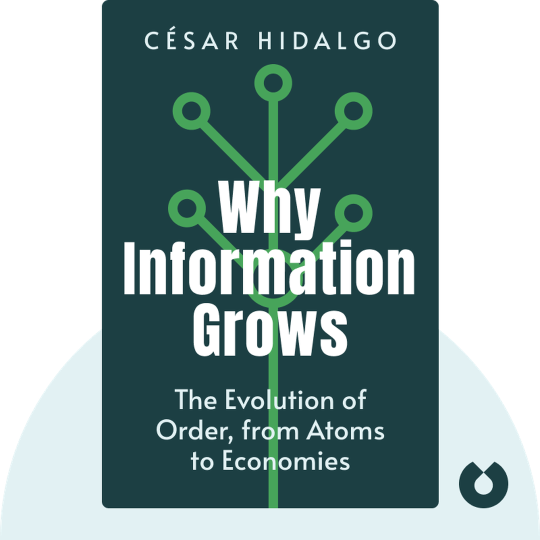 Why Information Grows cover