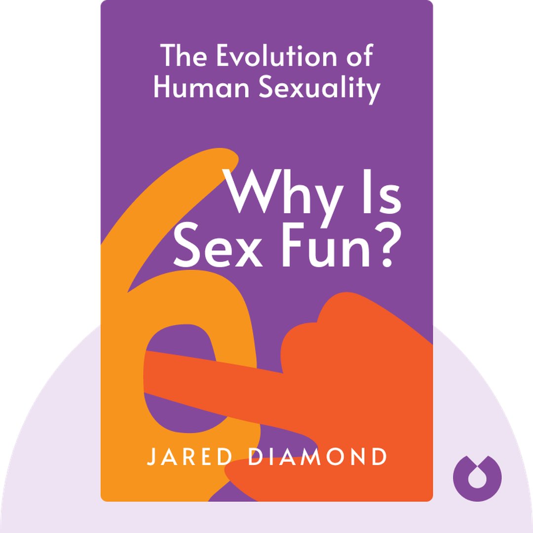 Why is Sex Fun? cover