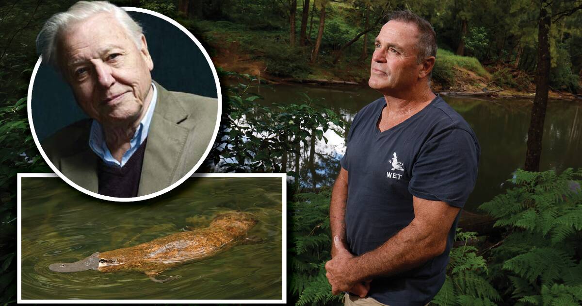 Pioneering Wildlife Conservation