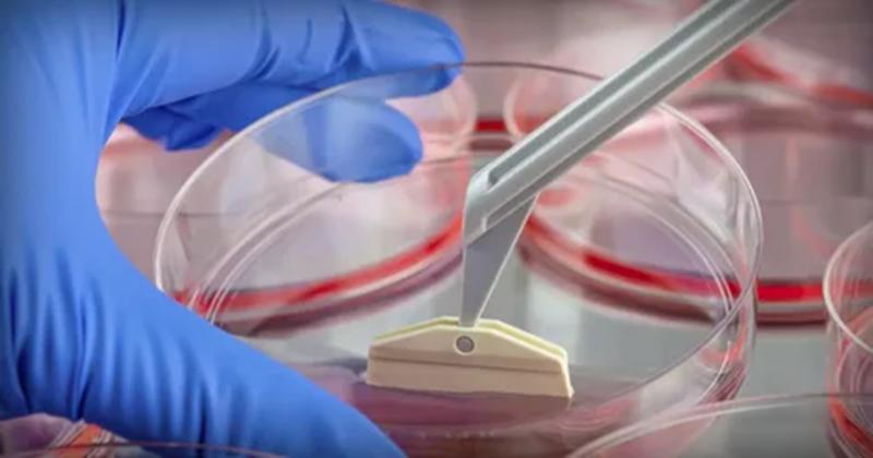 Breakthroughs in Advanced Therapeutics