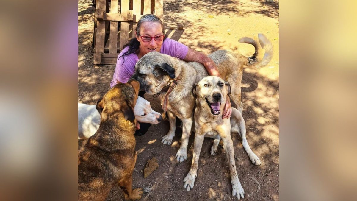 Understanding the Human-Animal Bond