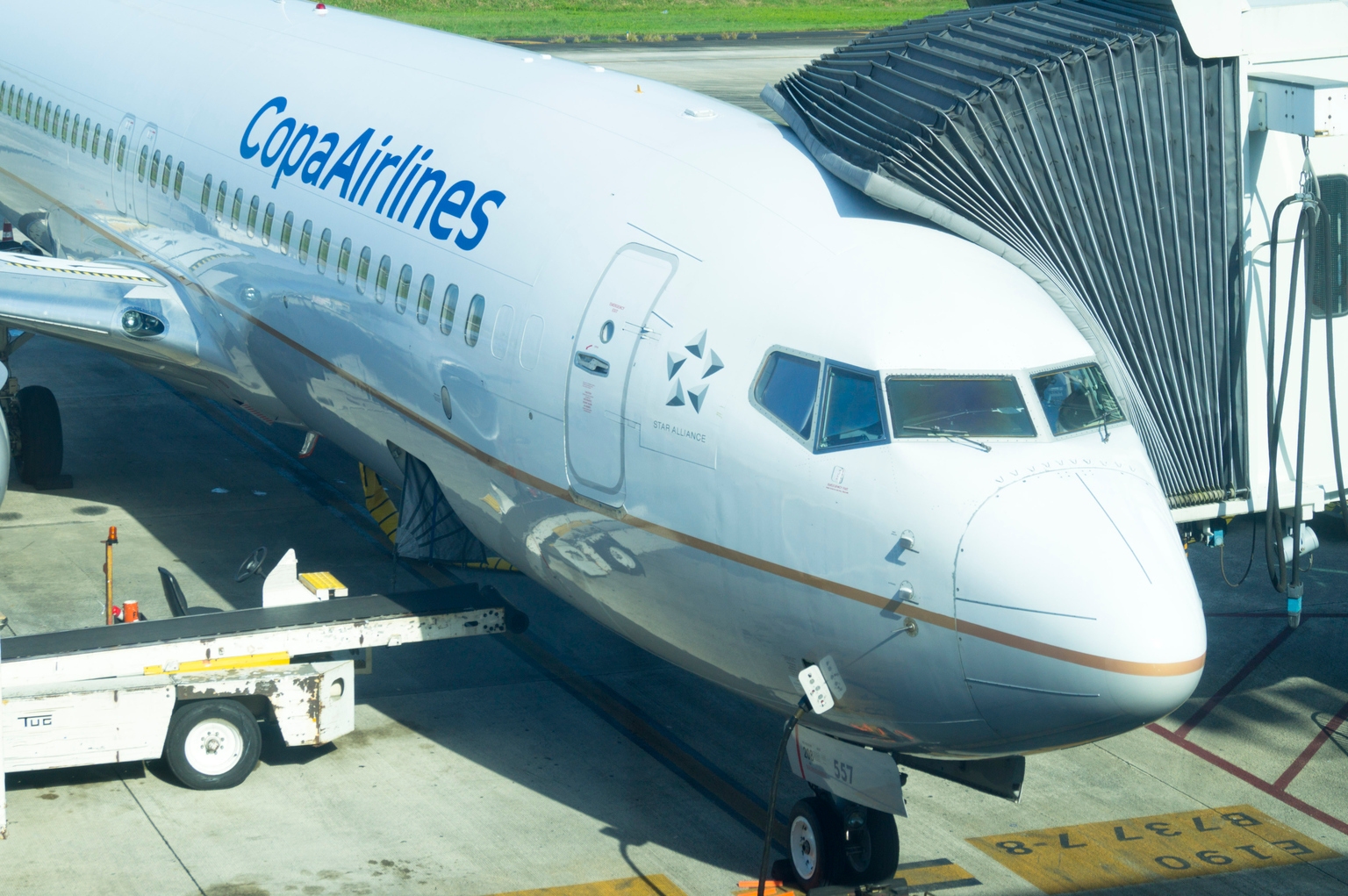 Resilience in the Aviation Industry