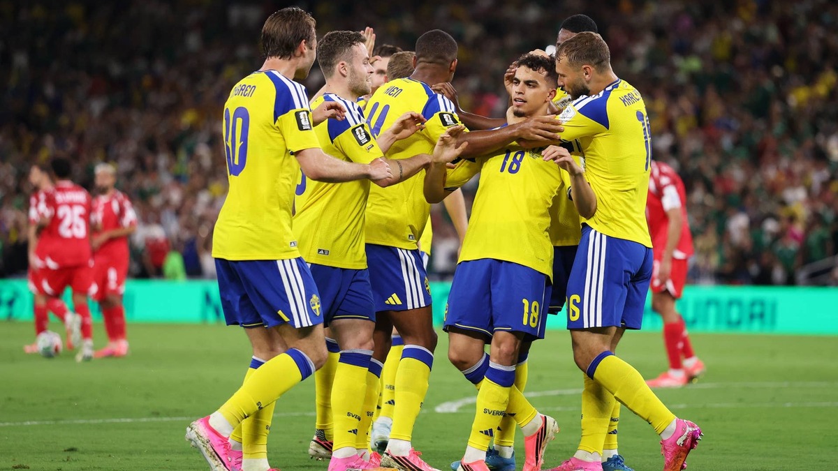 Emotional Intelligence in Professional Sports