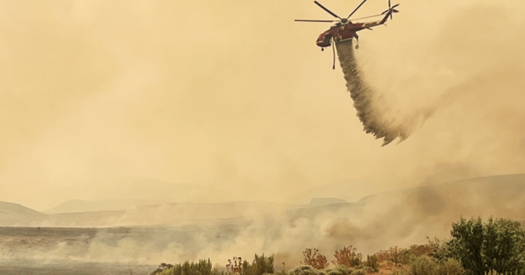 Managing Extreme Heat and Wildfires