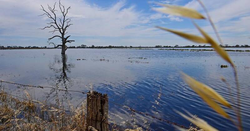 Balancing Ecosystems and Industrial Growth