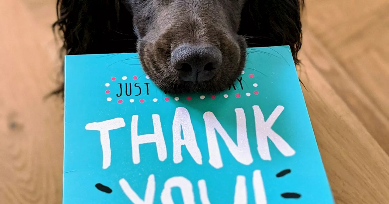 The Psychology of Meaningful Gratitude