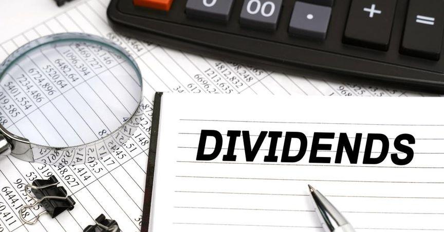 Mastering Dividend Stock Investing