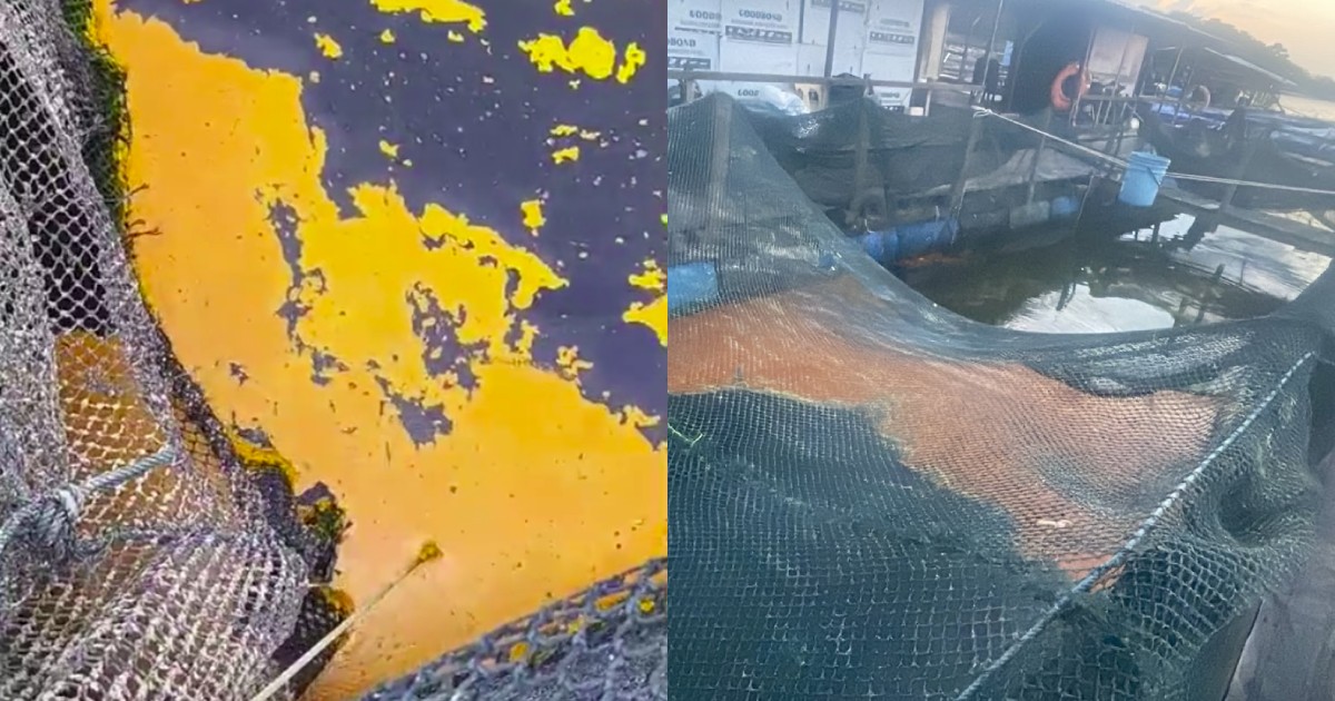 Advancements in Seismic Risk Management