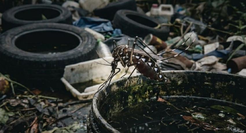 Combating Global Tropical Diseases