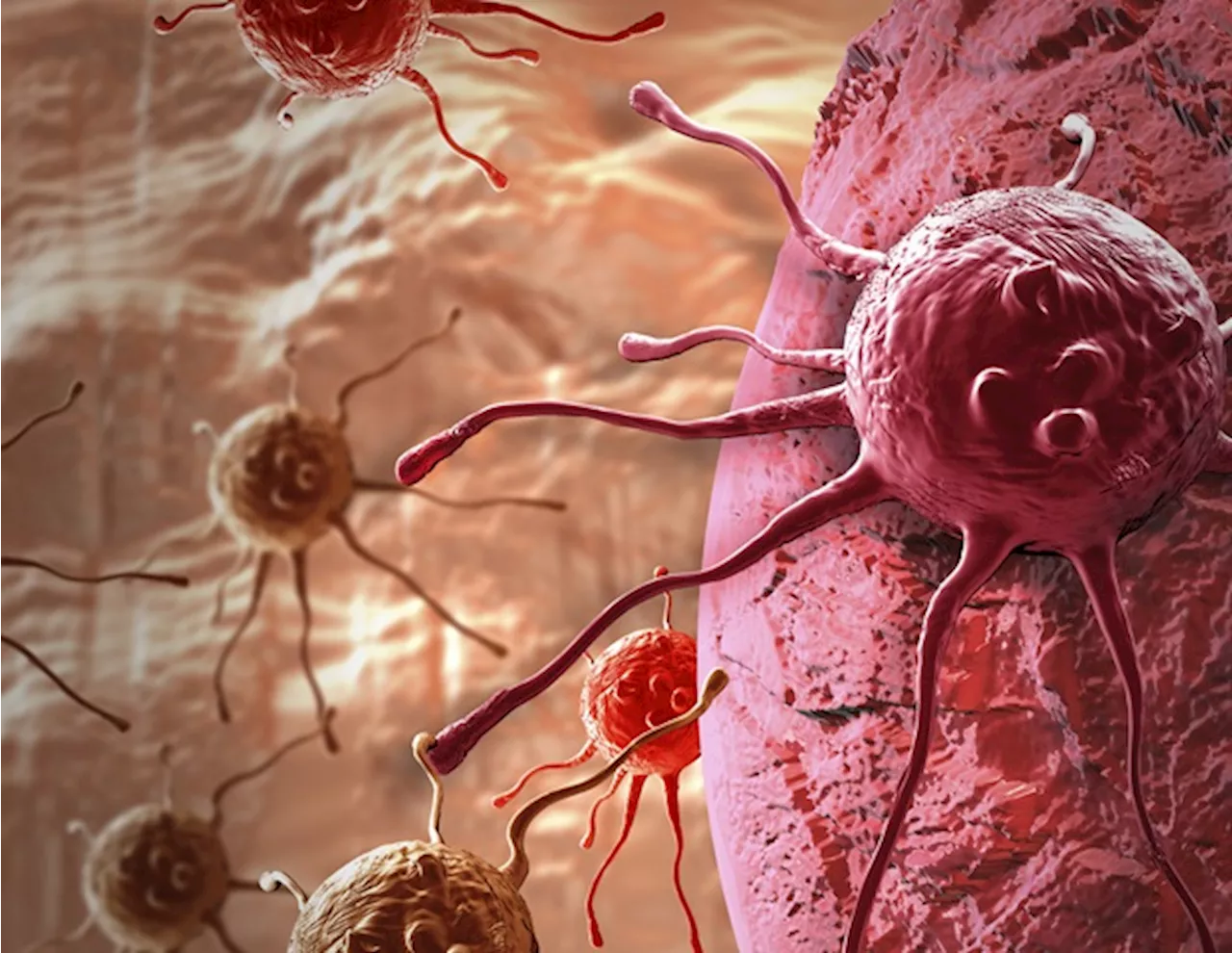 Breakthroughs in Cancer Immunology