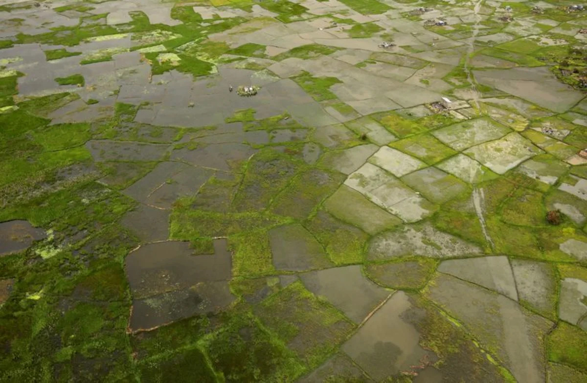 The Economic Toll of Climate Extremes