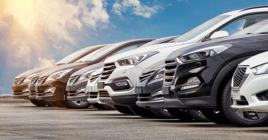 Navigating the Electric Vehicle Shakeout