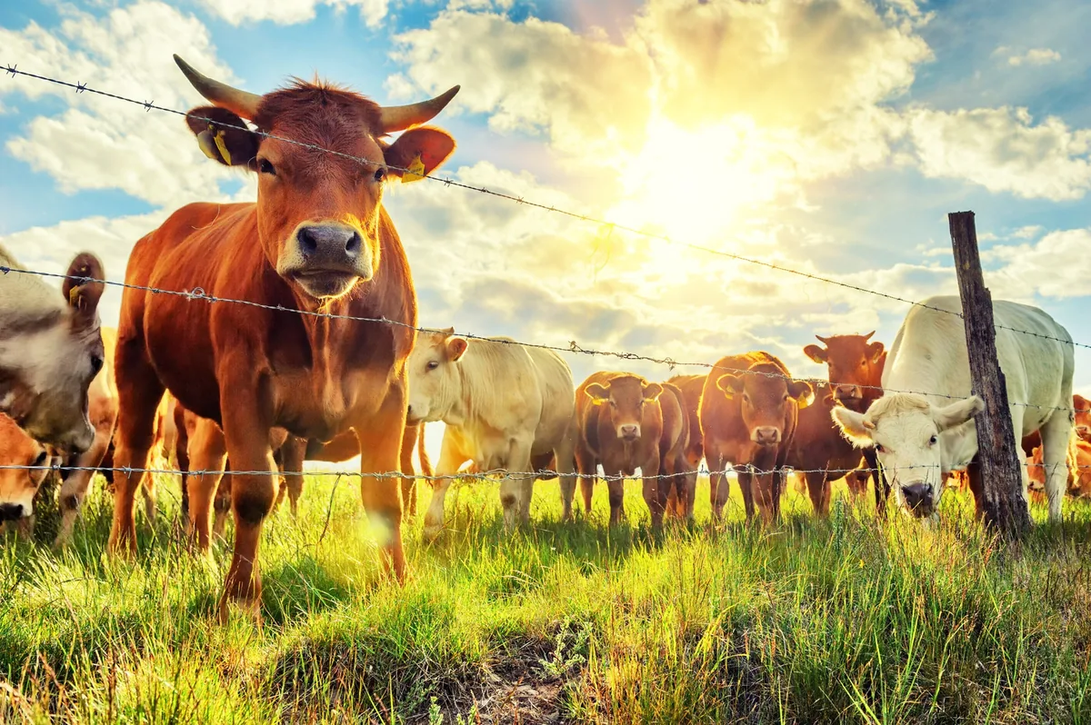 Protecting Global Agricultural Health