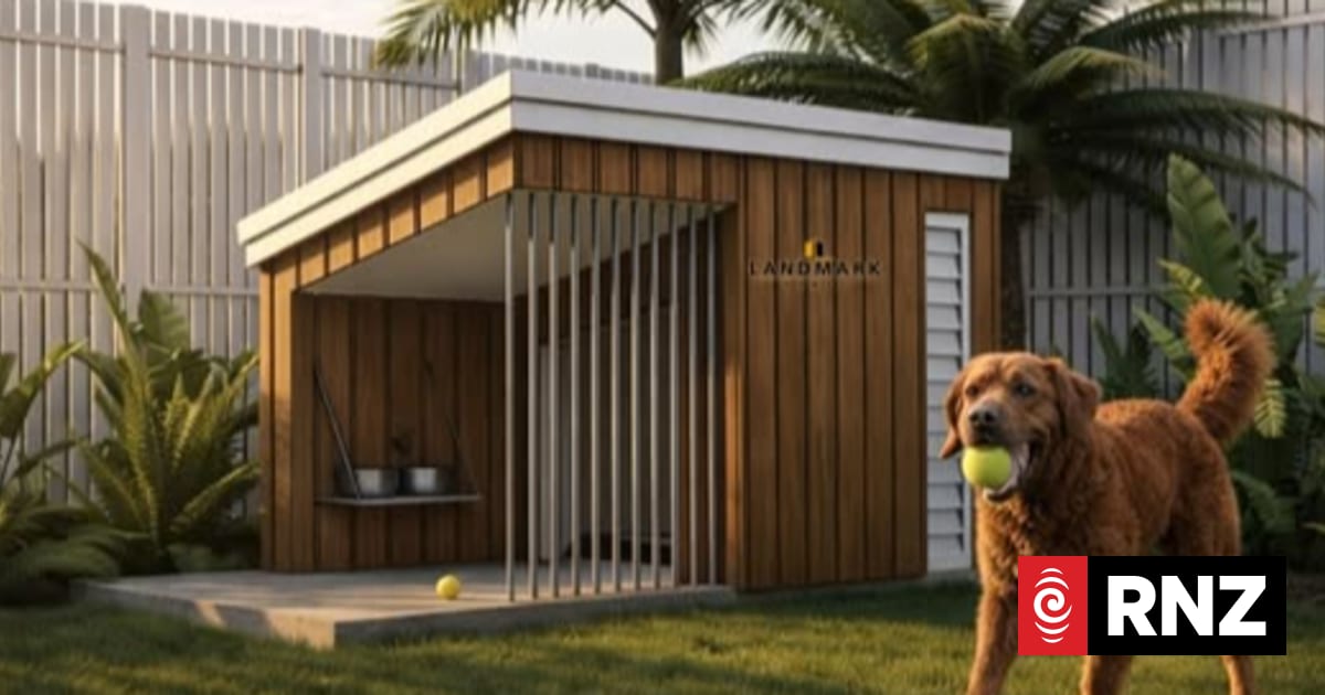 Pets, Design, and Giving