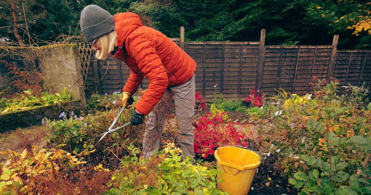 Seasonal Gardening Resilience