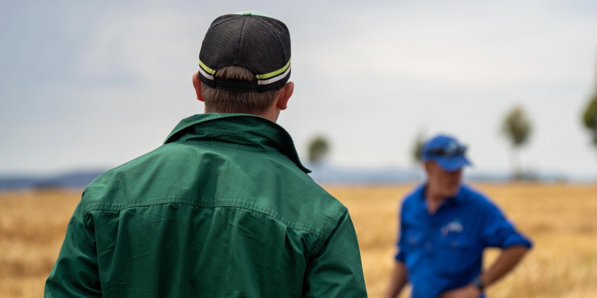 Rural Mental Health Networks