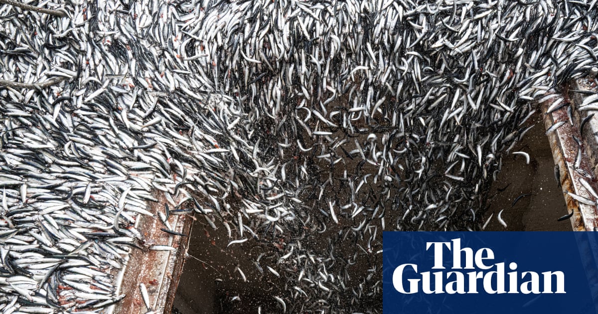 Climate Resilience on Our Plates